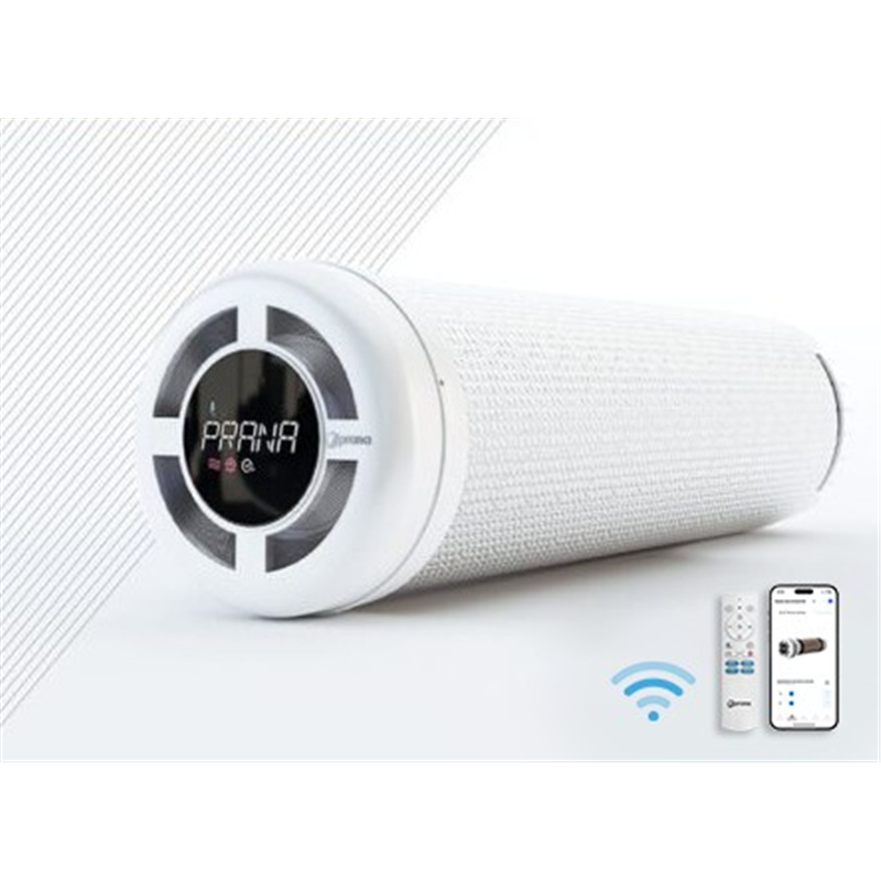 MiniFTX PRANA 150 Premium Plus